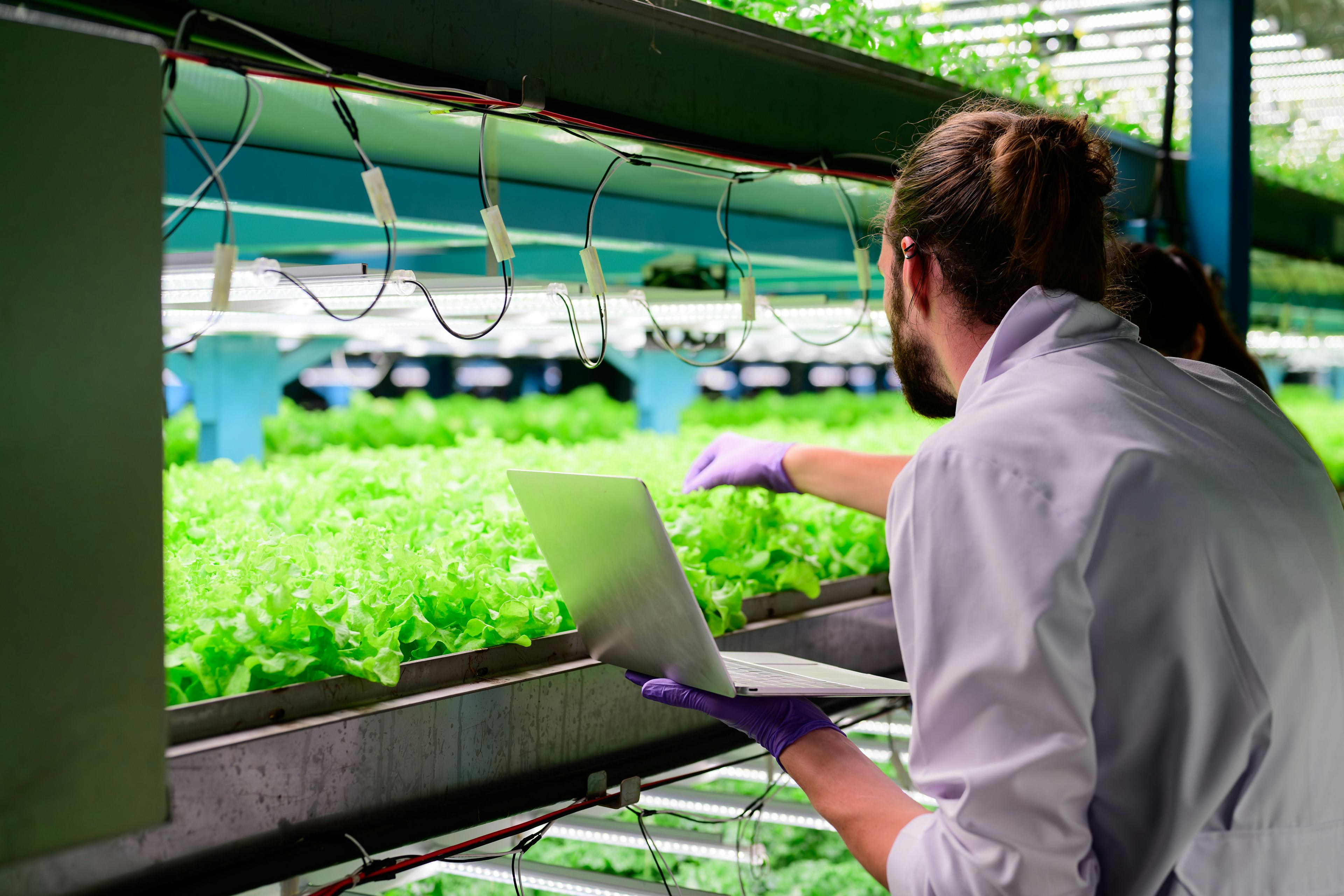 scientists working on agriculture 