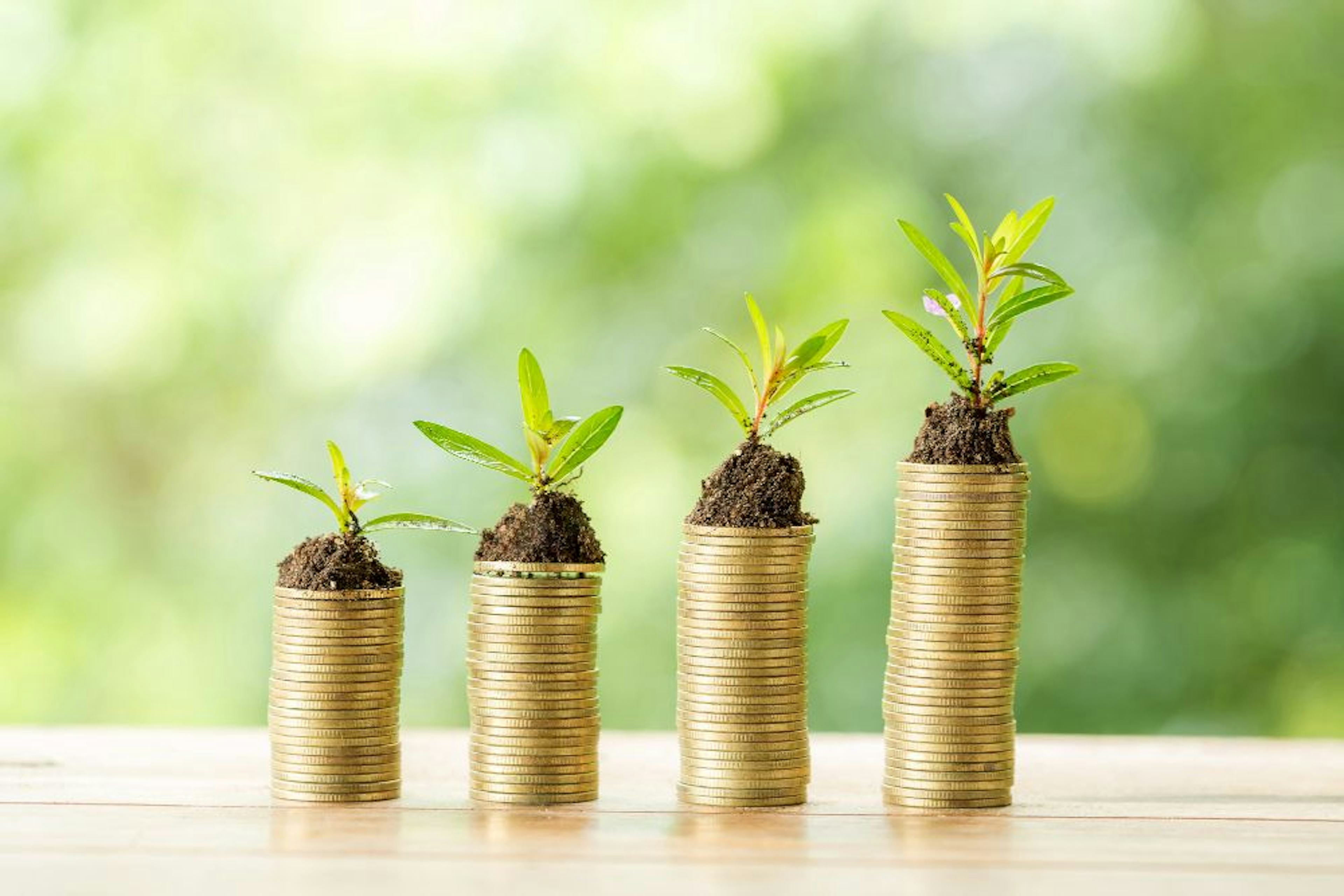 stacks of coins with plants on top