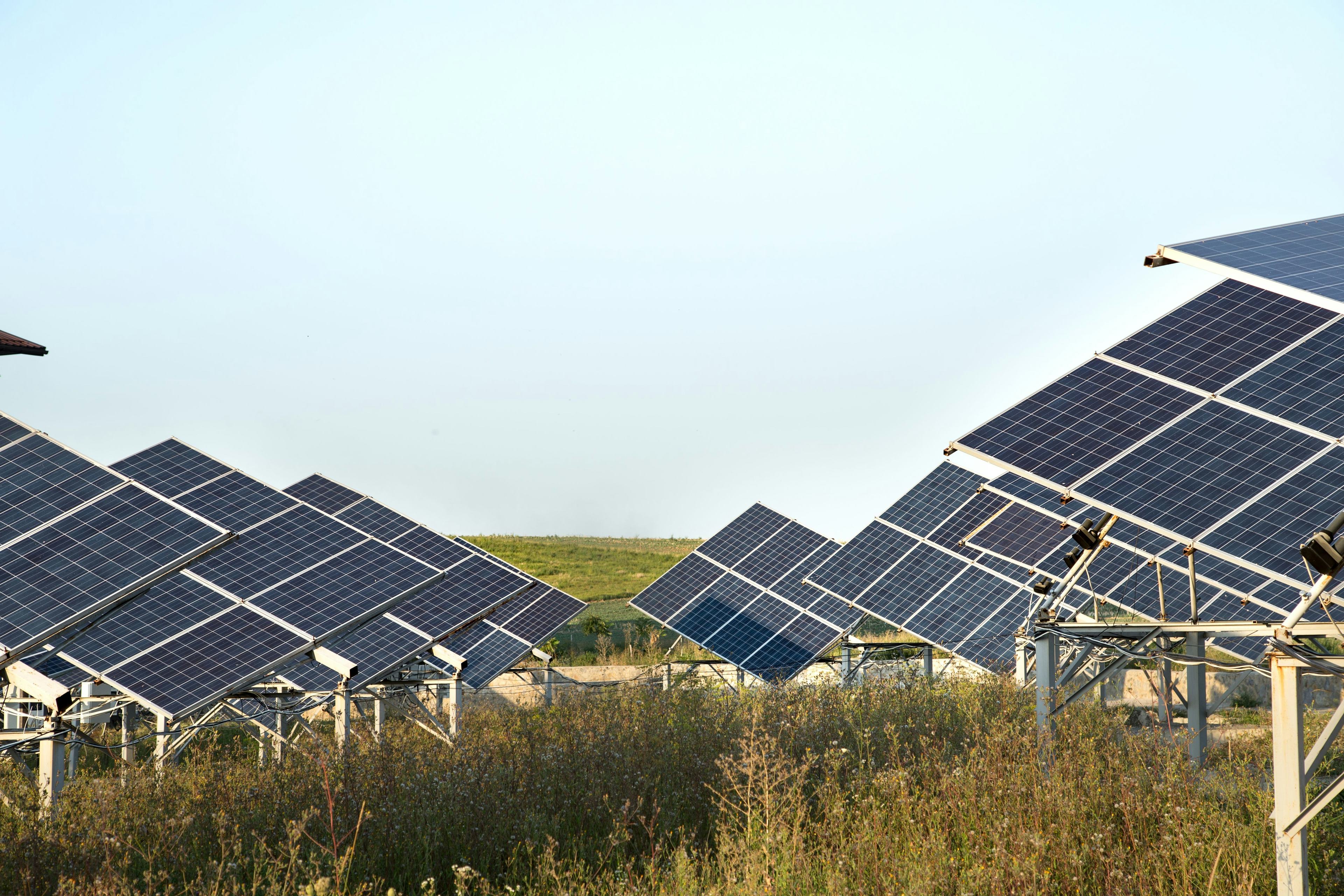 solar panels in a field together