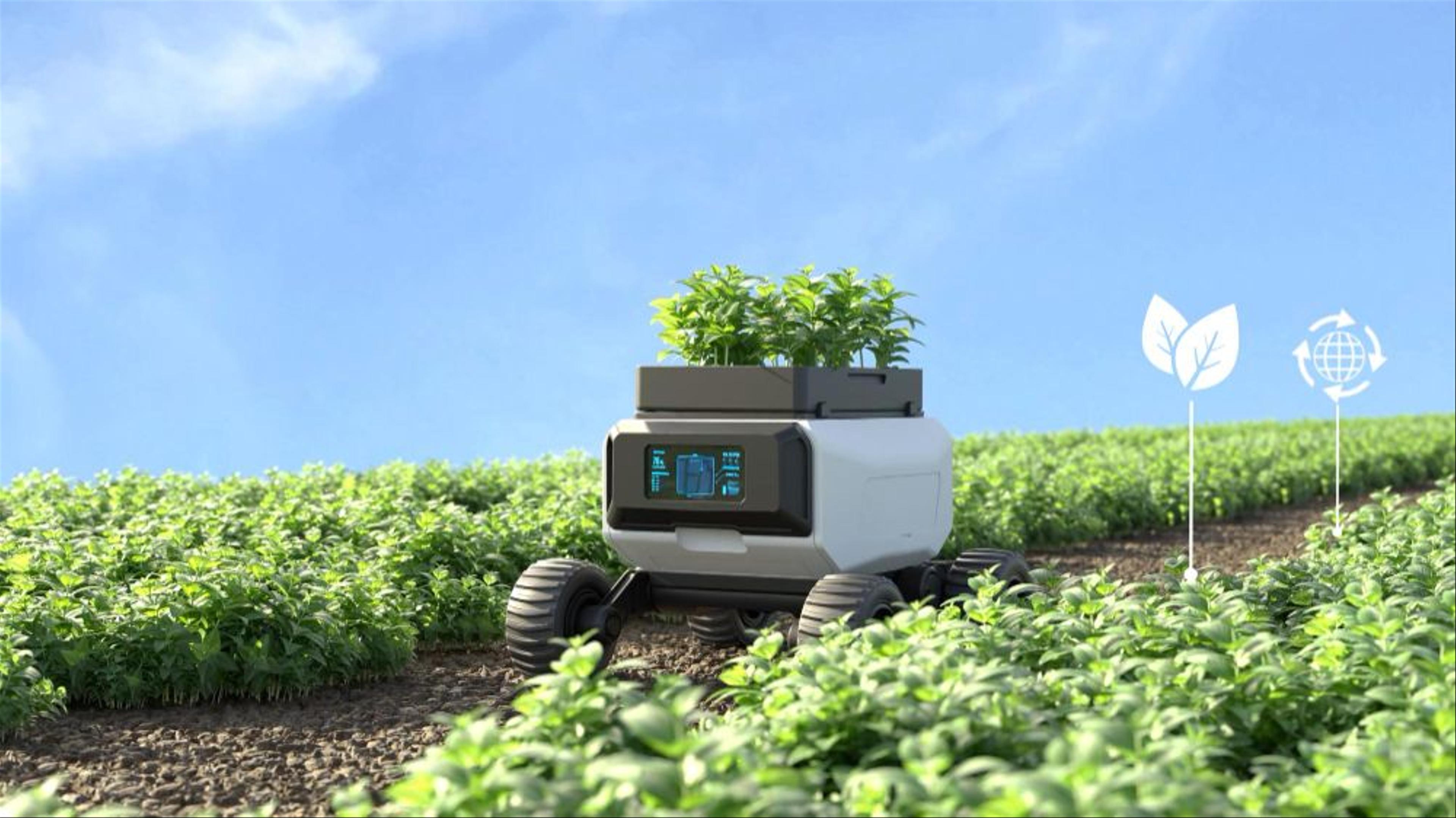 Agricultural robot in a farm