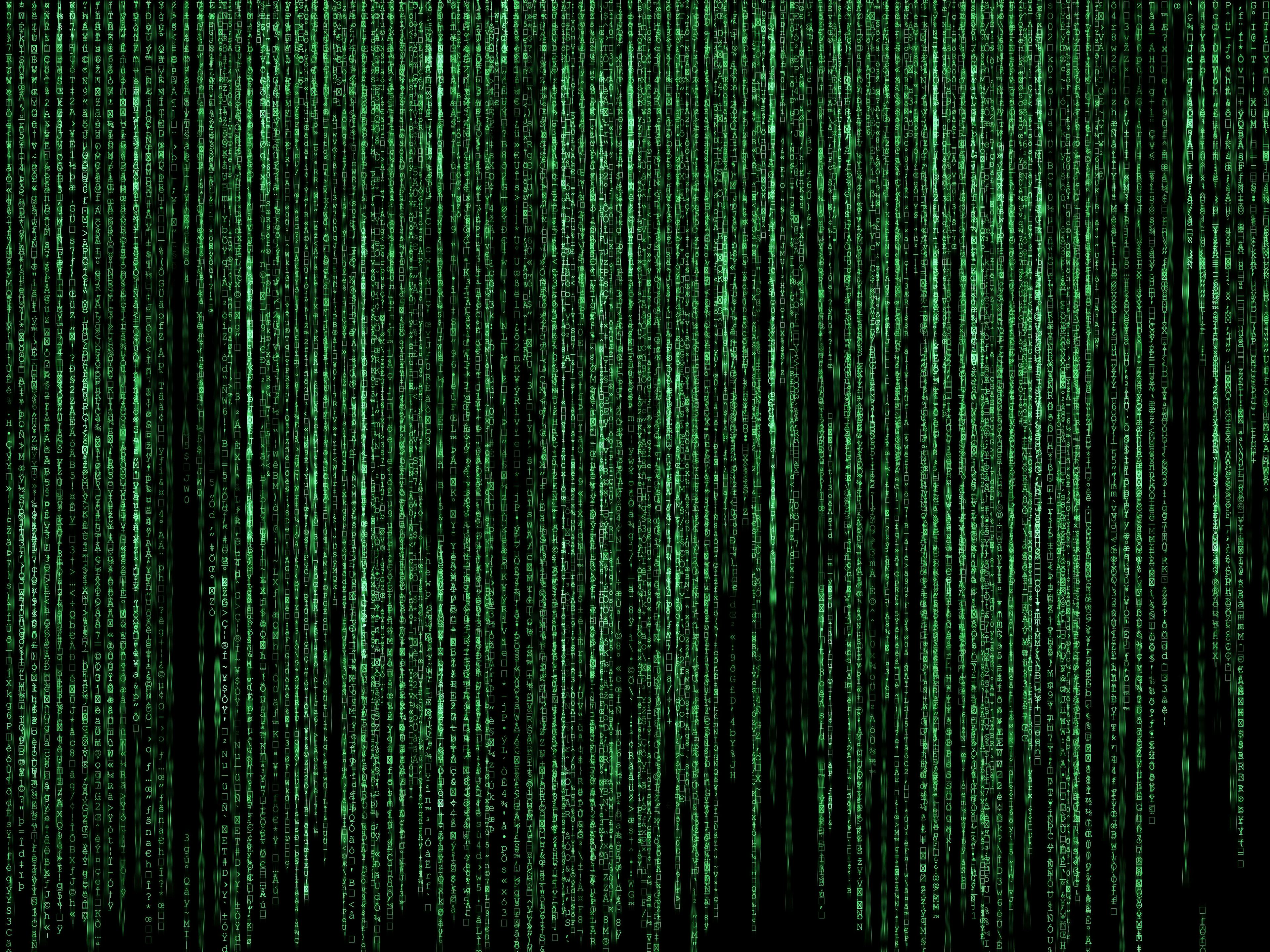 overlay of green code digital rain